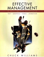 EFFECTIVE MANAGEMENT A MULTIMEDIA APPROACH