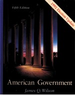 AMERICAN GOVERNMENT