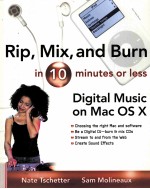 RIP MIX AND BURN IN 10 MINUTES OR LESS