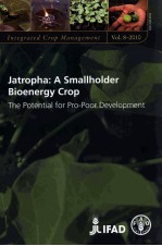 JATROPHA: A SAMLLHOLDER BIOENERGY CROP:THE POTENTIAL FOR PRO-POOR DEVELOPMENT