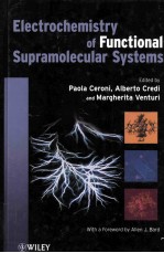 ELECTROCHEMISTRY OF FUNCTIONAL SUPRAMOLECULAR SYSTEMS