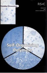 FARADAY DISCUSSIONS VOLUME 128 SELF-ORGANISING POLYMERS