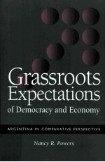 GRASSROOTS EXPECTATIONS OF DEMOCRACY AND ECONOMY