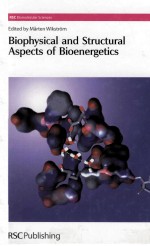 BIOPHYSICAL AND STRUCTURAL ASPECTS OF BIOENERGETICS