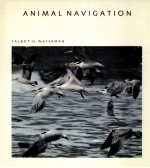 ANIMAL NAVIGATION