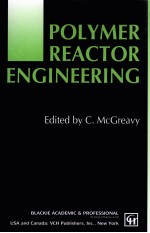 POLYMER REACTOR ENGINEERING