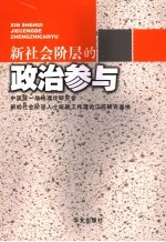 新社会阶层的政治参与