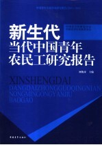 新生代 当代中国青年农民工研究报告