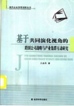 基于共同演化视角的跨国公司战略与产业集群互动研究