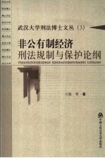 非公有制经济刑法规制与保护论纲