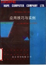 WINDOWS 386/486应用技巧与实例：充分发挥386/486的功能