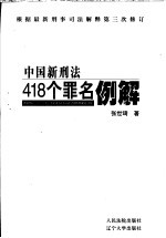 中国新刑法418个罪名例解