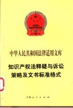 知识产权法释疑与诉讼策略及文书标准格式