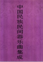 中国民族民间器乐曲集成 新疆卷 上