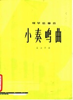 钢琴独奏曲 小奏鸣曲