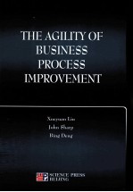 THE AGILITY OF BUSINESS PROCESS IMPROVEMENT