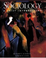 SOCIOLOGY A BRIEF INTRODUCTION SECOND EDITION