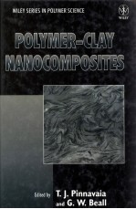 POLYMER-CLAY NANOCOMPOSITES