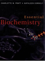 ESSENTIAL BIOCHEMISTRY