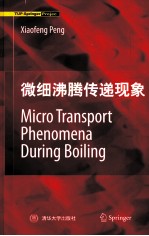 Micro Transport Phenomena During Boiling