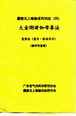 藏密无上瑜加系列功法 4 大金刚瑜伽母拳法