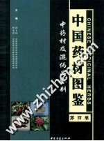 中国药材图鉴  中药材及混伪品鉴别  第4卷