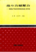 战斗力凝聚力  新疆生产建设兵团基层党建工作调查