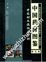 中国药材图鉴  中药材及混伪品鉴别  第3卷