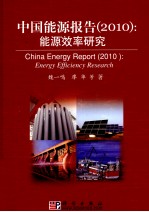 中国能源报告  2010  能源效率研究