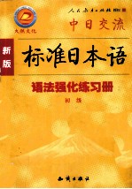 新版标准日本语语法强化练习册 初级