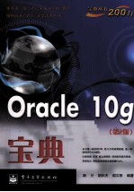 Oracle 10g宝典