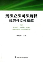 刑法立法司法解释规范性文件精解