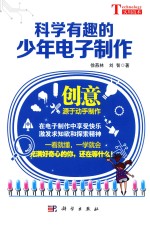 科学有趣的少年电子制作