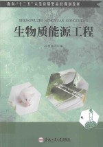 生物质能源工程