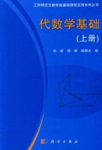 工科研究生数学类基础课程应用系列丛书  代数学基础  上