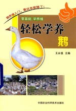 轻松学养鹅