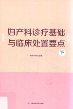 妇产科诊疗基础与临床处置要点 下