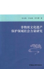 非物质文化遗产保护领域社会力量研究