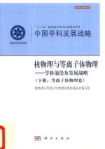 核物理与等离子体物理  学科前沿及发展战略  下  等离子体物理卷