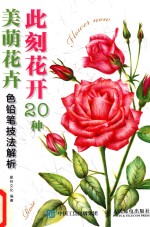 此刻花开 20种美萌花卉色铅笔技法解析