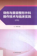 烧伤与美容整形外科操作技术与临床实践 下