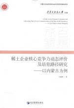 稀土企业核心竞争力动态评价及培育路径研究 以内蒙古为例