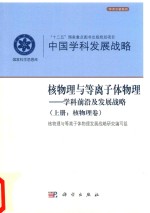 核物理与等离子体物理  学科前沿及发展战略  上  核物理卷