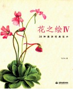 花之绘IV