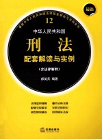 最新中华人民共和国刑法配套解读与实例 12 含法律解释