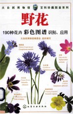 野花 190种花卉彩色图谱识别 应用