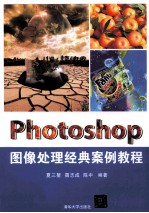 Photoshop图像处理经典案例教程