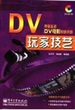 DV玩家技艺