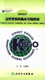 KDIGO急性肾损伤临床实践指南