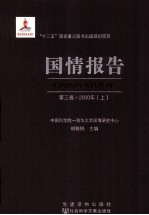 国情报告 第3卷 2000年 上